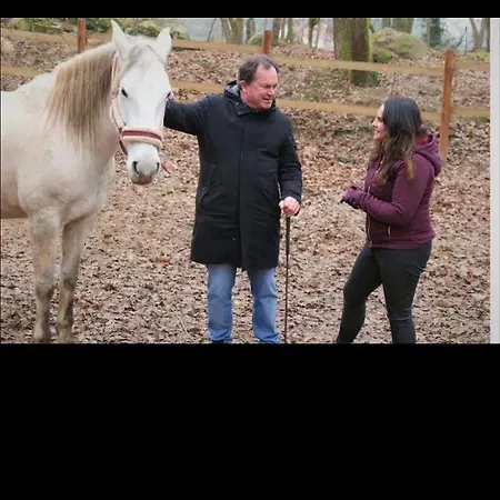Nuit Au Ranch Horse Paradise & Jacuzzi * Boutigny-sur-Essonne