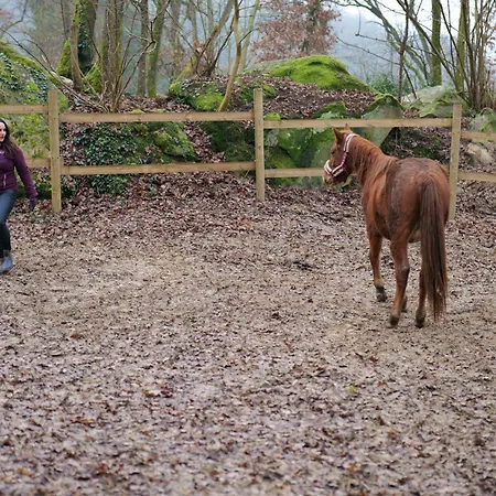 乡村民宿 Nuit Au Ranch Horse Paradise & Jacuzzi *